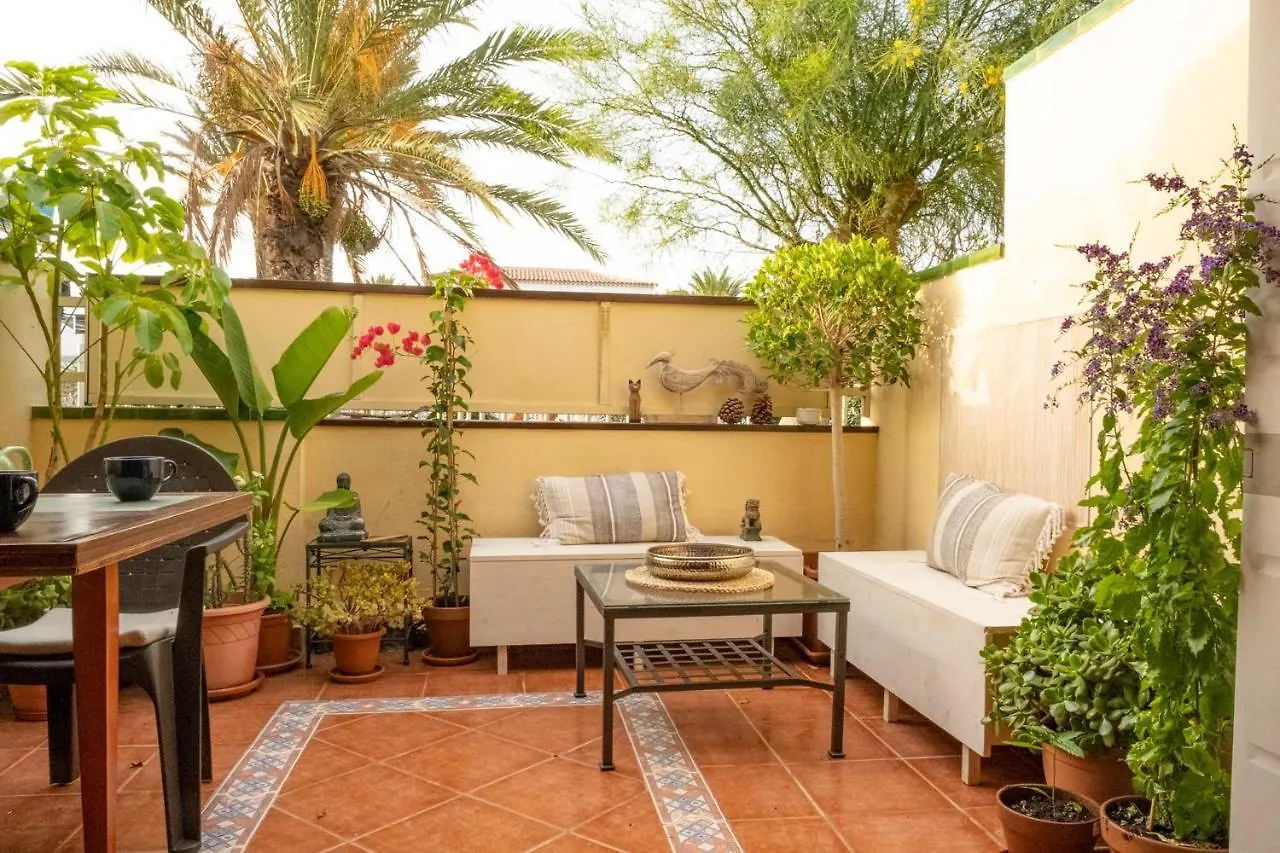 Melo'S Place - Cozy Apartment With A Sunny Terrace. Arona   Arona (Tenerife)